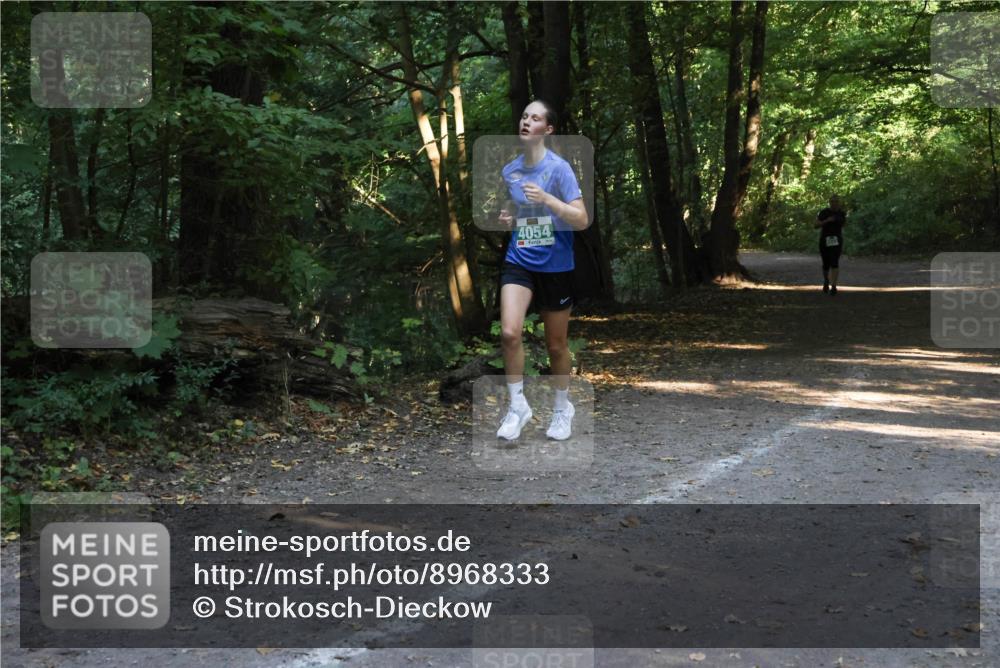 28.09.2025 - 33. Volkslauf durch das schöne Alstertal Strokosch-Dieckow http://msf.ph/oto/8968333 28.09.2025 10:56:20 Laufen 4054 meine-sportfotos.de