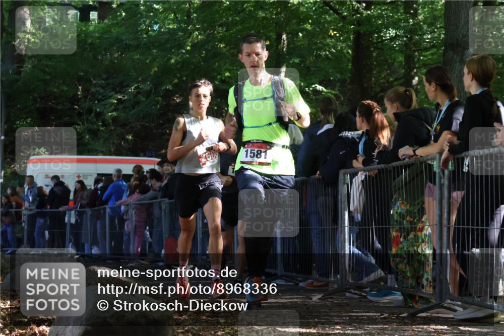 28.09.2025 - 33. Volkslauf durch das schöne Alstertal Strokosch-Dieckow http://msf.ph/oto/8968336 28.09.2025 11:49:19 Ziel 1567, 1581, 2608 meine-sportfotos.de