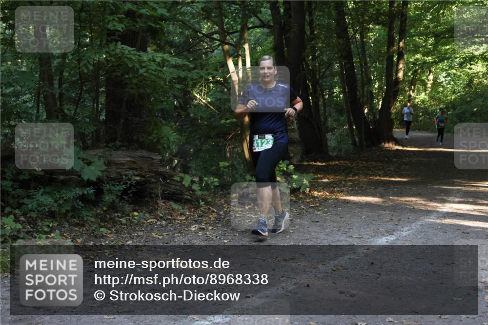 28.09.2025 - 33. Volkslauf durch das schöne Alstertal Strokosch-Dieckow http://msf.ph/oto/8968338 28.09.2025 10:56:27 Laufen 4123 meine-sportfotos.de