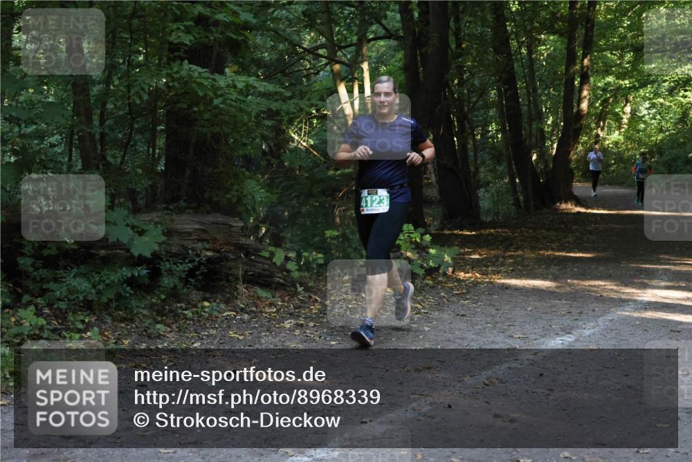 28.09.2025 - 33. Volkslauf durch das schöne Alstertal Strokosch-Dieckow http://msf.ph/oto/8968339 28.09.2025 10:56:27 Laufen 4123 meine-sportfotos.de