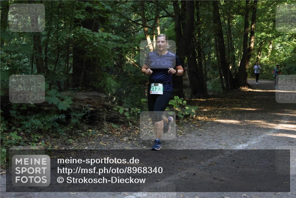 28.09.2025 - 33. Volkslauf durch das schöne Alstertal Strokosch-Dieckow http://msf.ph/oto/8968340 28.09.2025 10:56:27 Laufen 4123 meine-sportfotos.de