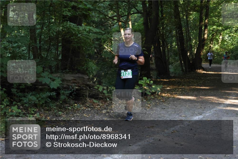 28.09.2025 - 33. Volkslauf durch das schöne Alstertal Strokosch-Dieckow http://msf.ph/oto/8968341 28.09.2025 10:56:27 Laufen 4123 meine-sportfotos.de