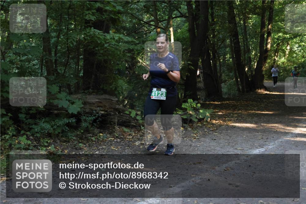 28.09.2025 - 33. Volkslauf durch das schöne Alstertal Strokosch-Dieckow http://msf.ph/oto/8968342 28.09.2025 10:56:27 Laufen 4123 meine-sportfotos.de