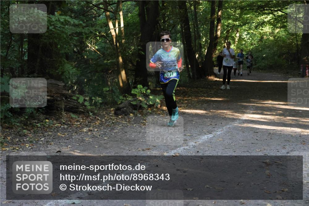 28.09.2025 - 33. Volkslauf durch das schöne Alstertal Strokosch-Dieckow http://msf.ph/oto/8968343 28.09.2025 10:56:36 Laufen 4919 meine-sportfotos.de