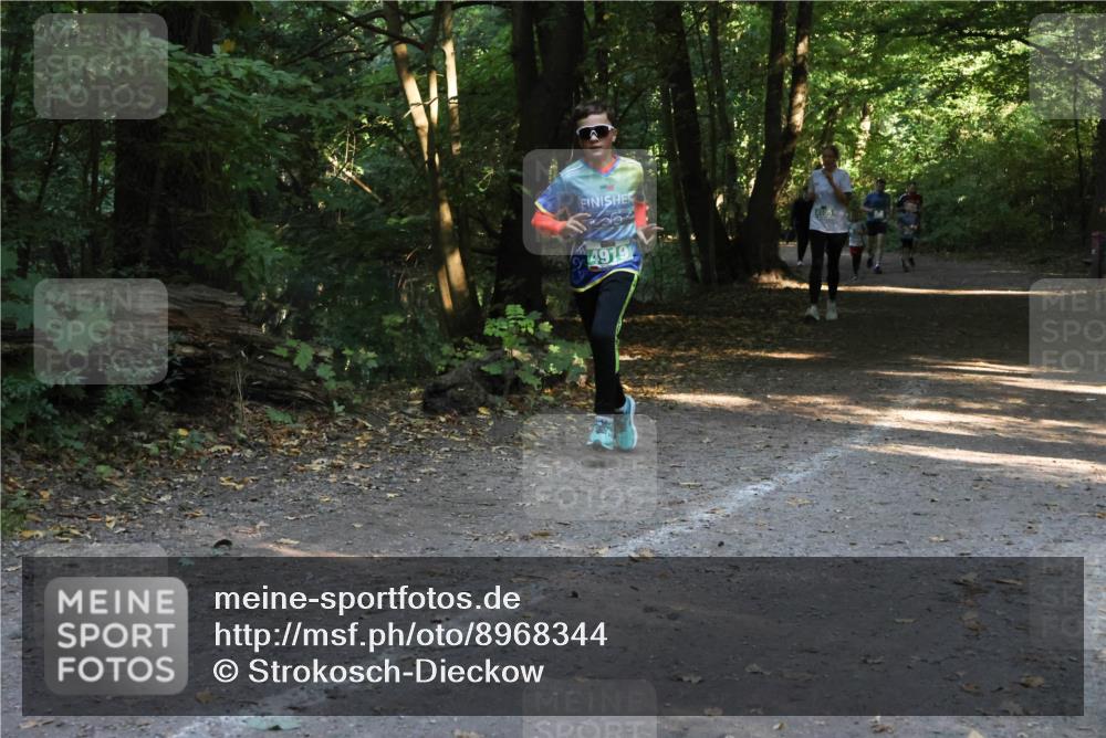 28.09.2025 - 33. Volkslauf durch das schöne Alstertal Strokosch-Dieckow http://msf.ph/oto/8968344 28.09.2025 10:56:36 Laufen 4919 meine-sportfotos.de