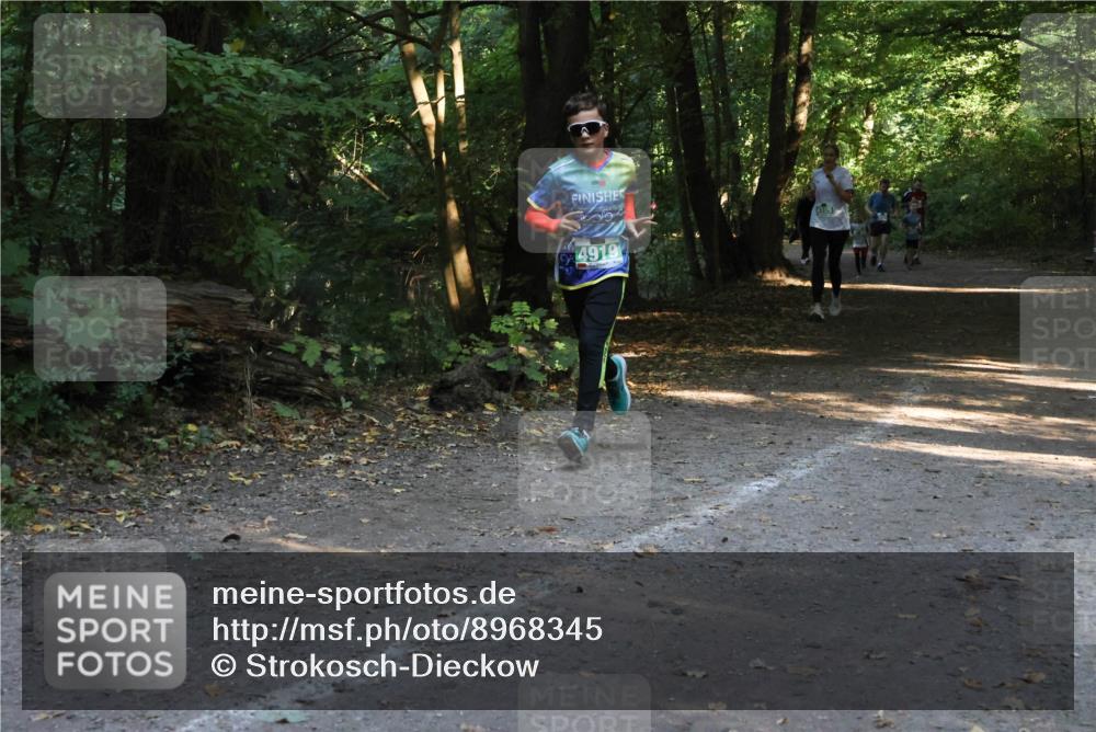 28.09.2025 - 33. Volkslauf durch das schöne Alstertal Strokosch-Dieckow http://msf.ph/oto/8968345 28.09.2025 10:56:36 Laufen 4919 meine-sportfotos.de
