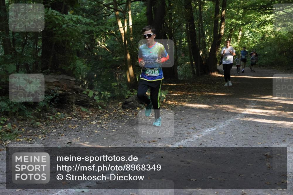 28.09.2025 - 33. Volkslauf durch das schöne Alstertal Strokosch-Dieckow http://msf.ph/oto/8968349 28.09.2025 10:56:37 Laufen 4919 meine-sportfotos.de