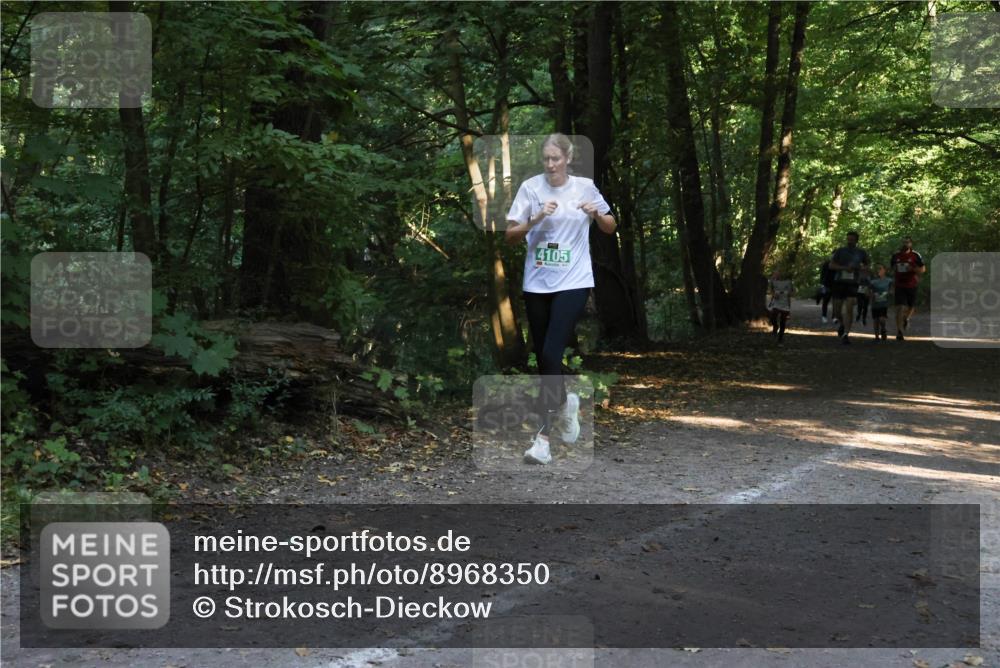 28.09.2025 - 33. Volkslauf durch das schöne Alstertal Strokosch-Dieckow http://msf.ph/oto/8968350 28.09.2025 10:56:41 Laufen 4105 meine-sportfotos.de
