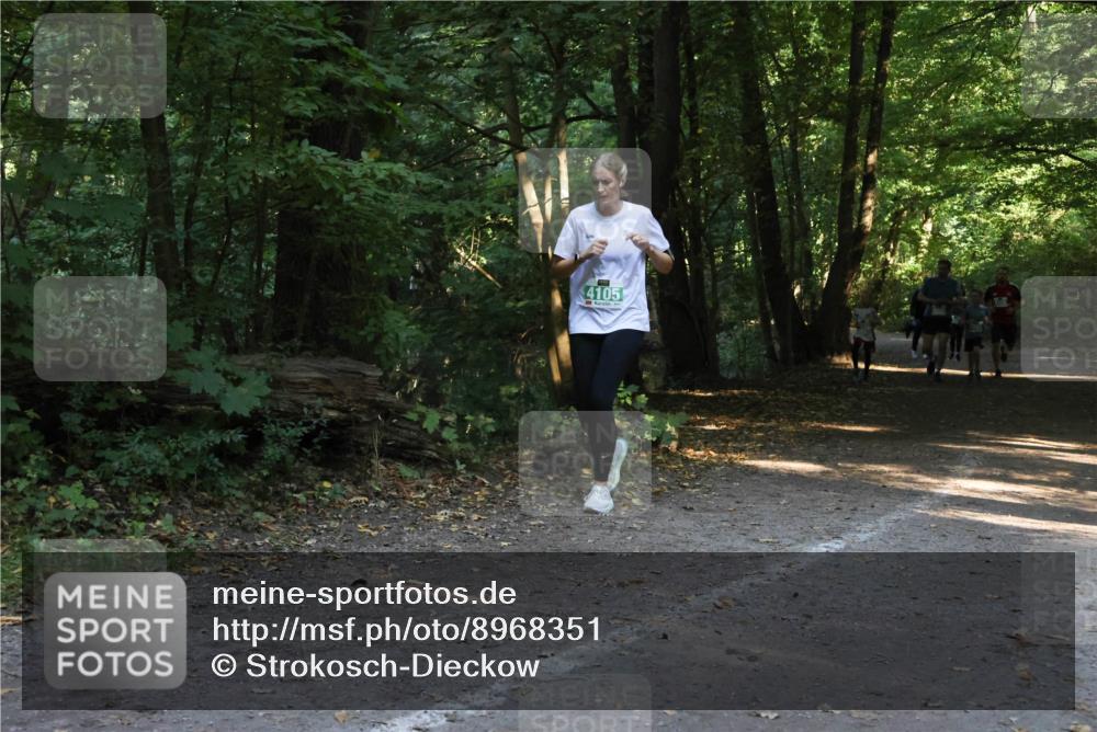 28.09.2025 - 33. Volkslauf durch das schöne Alstertal Strokosch-Dieckow http://msf.ph/oto/8968351 28.09.2025 10:56:41 Laufen 4105 meine-sportfotos.de