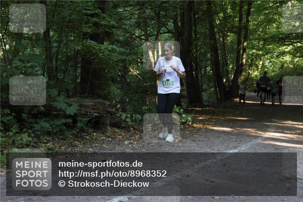 28.09.2025 - 33. Volkslauf durch das schöne Alstertal Strokosch-Dieckow http://msf.ph/oto/8968352 28.09.2025 10:56:41 Laufen 4105 meine-sportfotos.de