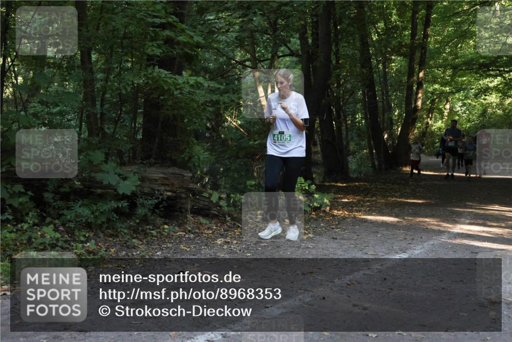 28.09.2025 - 33. Volkslauf durch das schöne Alstertal Strokosch-Dieckow http://msf.ph/oto/8968353 28.09.2025 10:56:41 Laufen 4105 meine-sportfotos.de