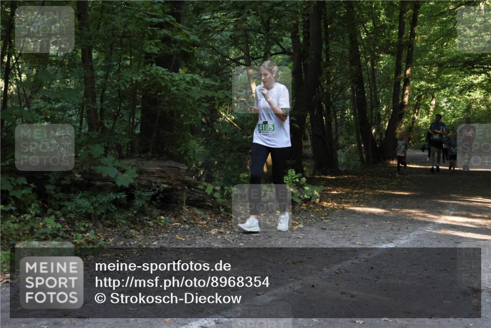 28.09.2025 - 33. Volkslauf durch das schöne Alstertal Strokosch-Dieckow http://msf.ph/oto/8968354 28.09.2025 10:56:41 Laufen 4105 meine-sportfotos.de