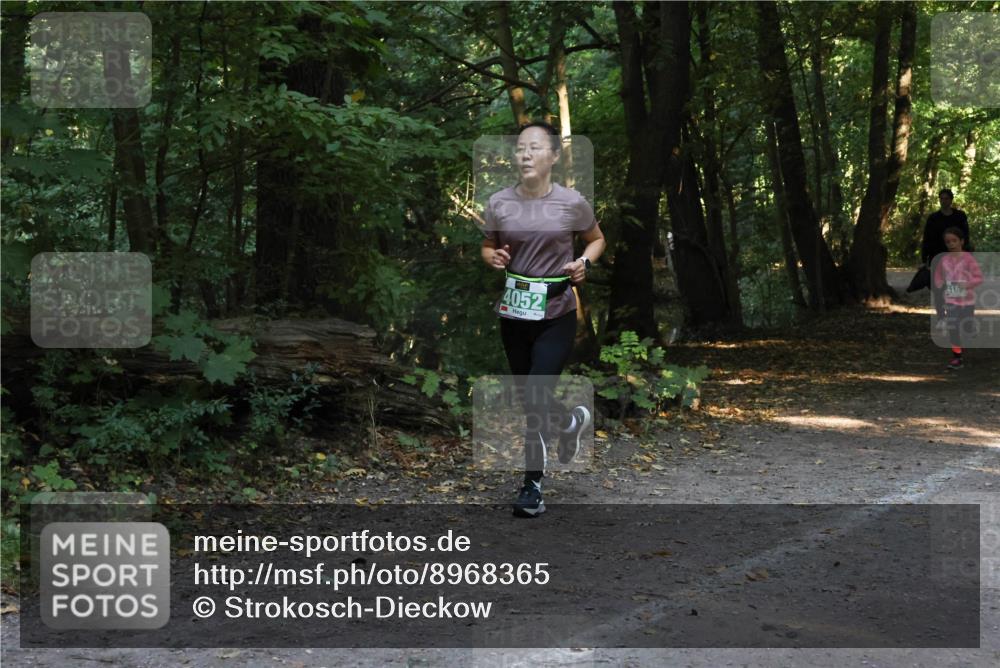 28.09.2025 - 33. Volkslauf durch das schöne Alstertal Strokosch-Dieckow http://msf.ph/oto/8968365 28.09.2025 10:56:51 Laufen 4052 meine-sportfotos.de