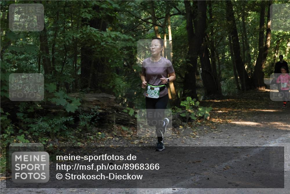 28.09.2025 - 33. Volkslauf durch das schöne Alstertal Strokosch-Dieckow http://msf.ph/oto/8968366 28.09.2025 10:56:51 Laufen 4052, 4169 meine-sportfotos.de
