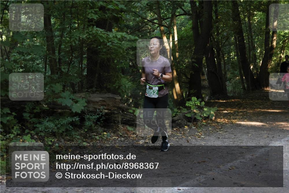28.09.2025 - 33. Volkslauf durch das schöne Alstertal Strokosch-Dieckow http://msf.ph/oto/8968367 28.09.2025 10:56:51 Laufen 4052, 13 meine-sportfotos.de