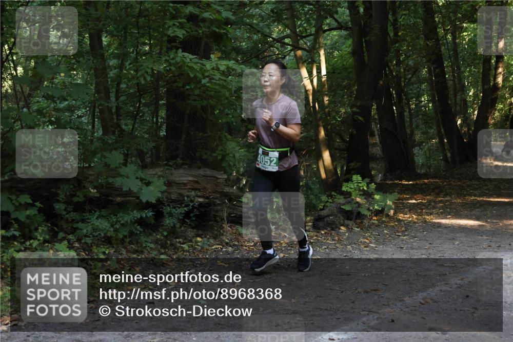 28.09.2025 - 33. Volkslauf durch das schöne Alstertal Strokosch-Dieckow http://msf.ph/oto/8968368 28.09.2025 10:56:52 Laufen 4052 meine-sportfotos.de