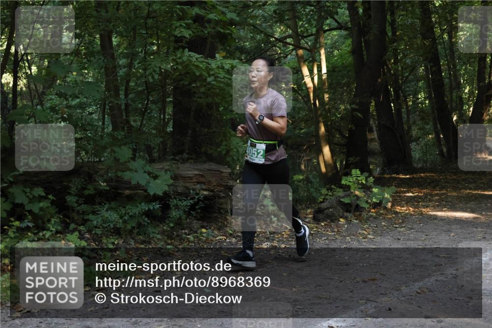 28.09.2025 - 33. Volkslauf durch das schöne Alstertal Strokosch-Dieckow http://msf.ph/oto/8968369 28.09.2025 10:56:52 Laufen 4052 meine-sportfotos.de