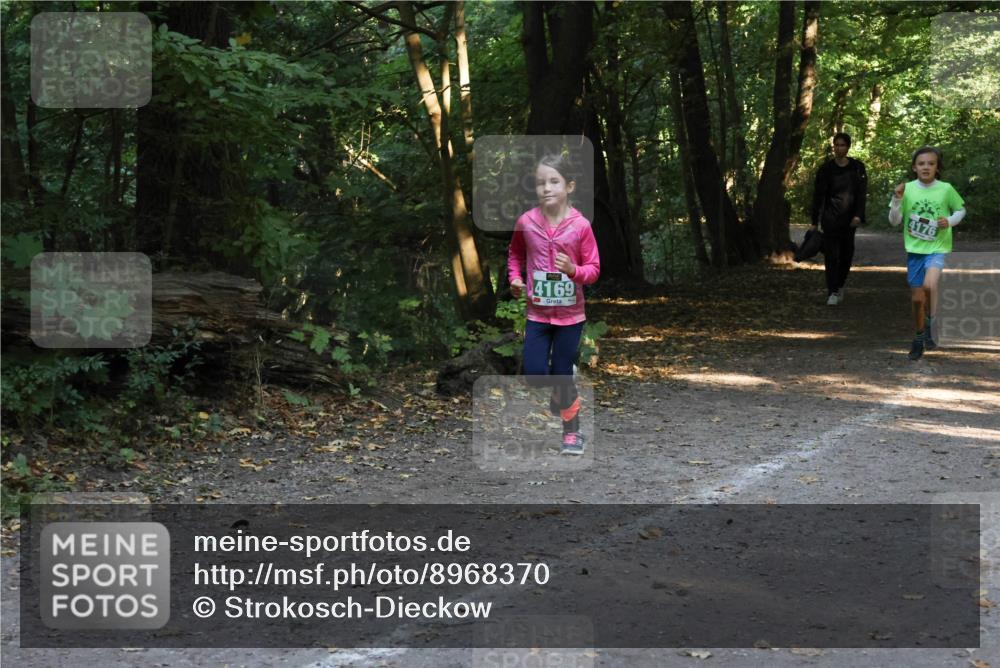 28.09.2025 - 33. Volkslauf durch das schöne Alstertal Strokosch-Dieckow http://msf.ph/oto/8968370 28.09.2025 10:56:55 Laufen 4169, 4176 meine-sportfotos.de