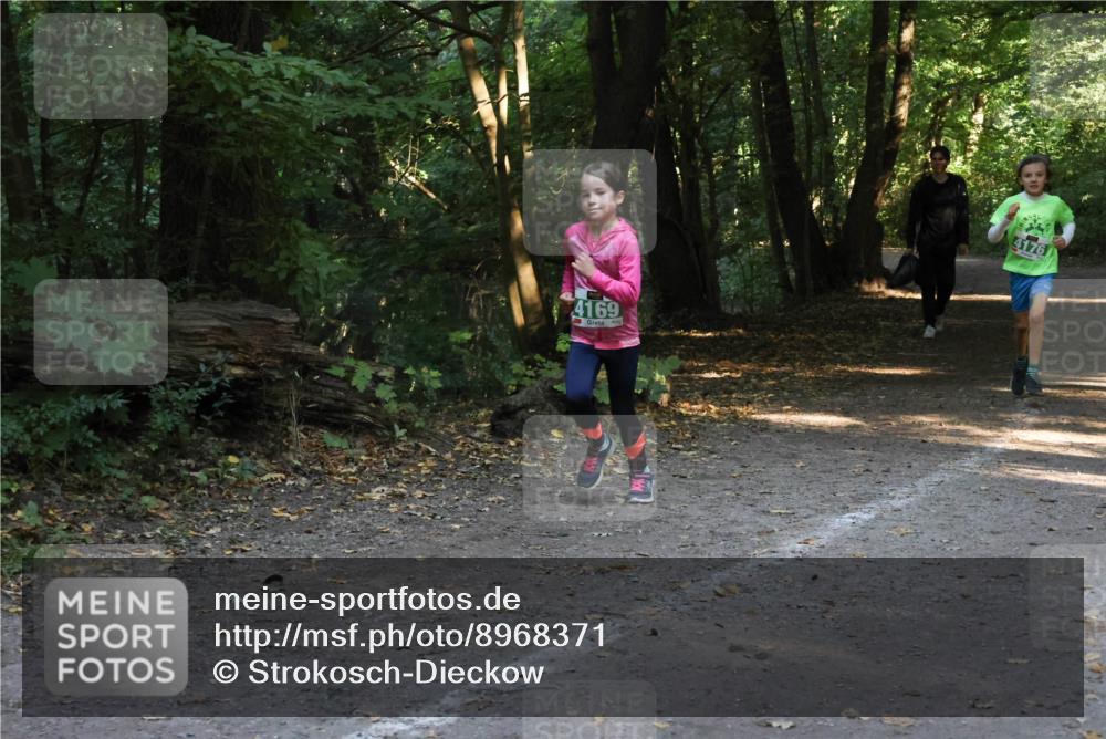 28.09.2025 - 33. Volkslauf durch das schöne Alstertal Strokosch-Dieckow http://msf.ph/oto/8968371 28.09.2025 10:56:55 Laufen 4169, 4176 meine-sportfotos.de