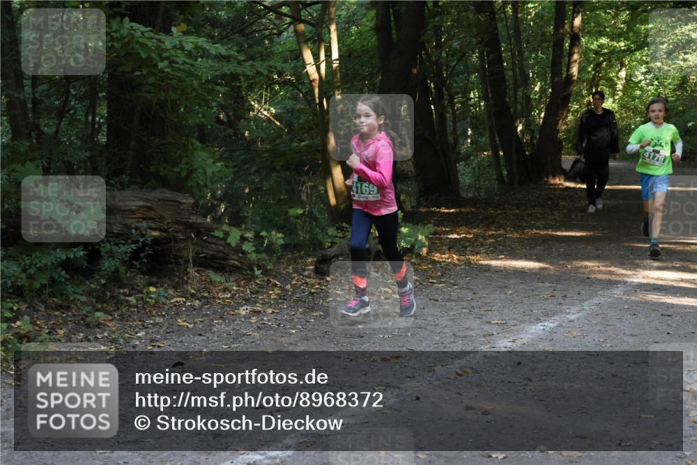 28.09.2025 - 33. Volkslauf durch das schöne Alstertal Strokosch-Dieckow http://msf.ph/oto/8968372 28.09.2025 10:56:55 Laufen 4169, 4176 meine-sportfotos.de