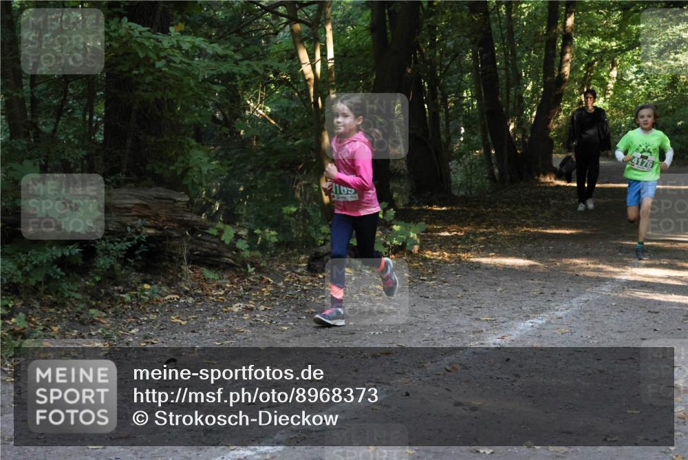 28.09.2025 - 33. Volkslauf durch das schöne Alstertal Strokosch-Dieckow http://msf.ph/oto/8968373 28.09.2025 10:56:55 Laufen 4105, 4176 meine-sportfotos.de