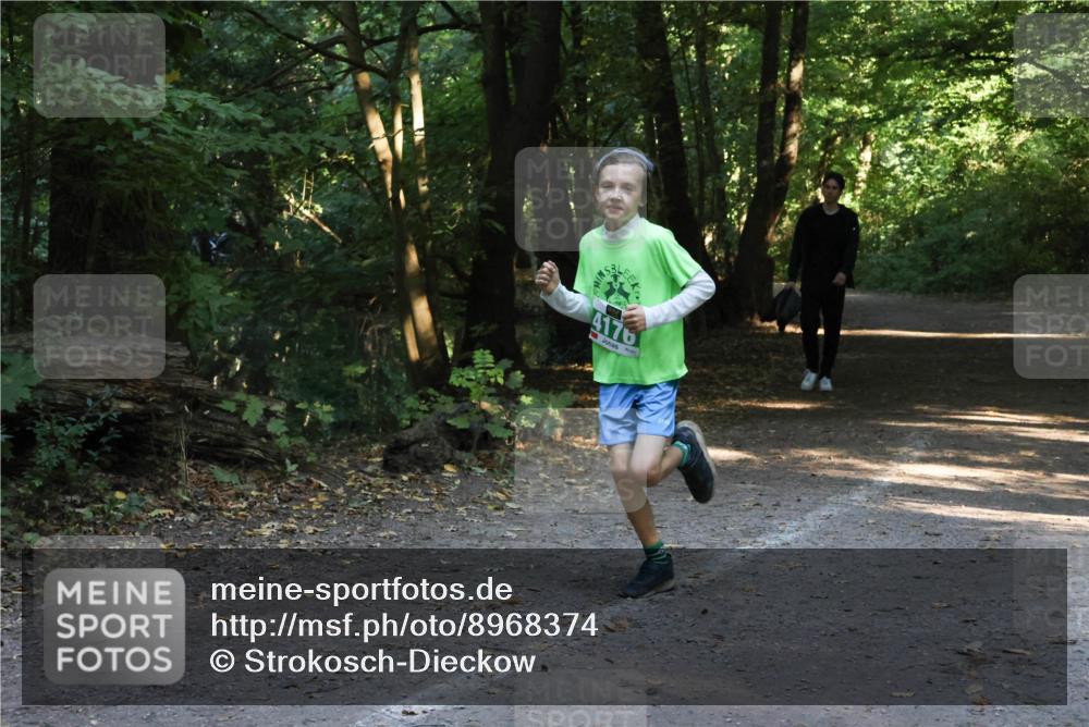 28.09.2025 - 33. Volkslauf durch das schöne Alstertal Strokosch-Dieckow http://msf.ph/oto/8968374 28.09.2025 10:56:57 Laufen 4176 meine-sportfotos.de
