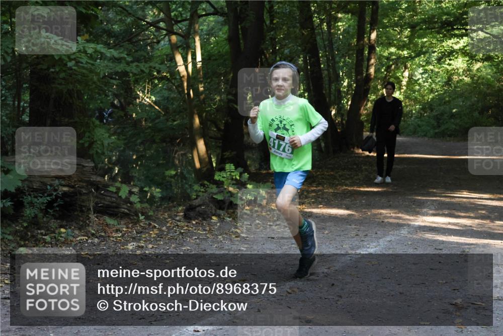 28.09.2025 - 33. Volkslauf durch das schöne Alstertal Strokosch-Dieckow http://msf.ph/oto/8968375 28.09.2025 10:56:57 Laufen 4176 meine-sportfotos.de