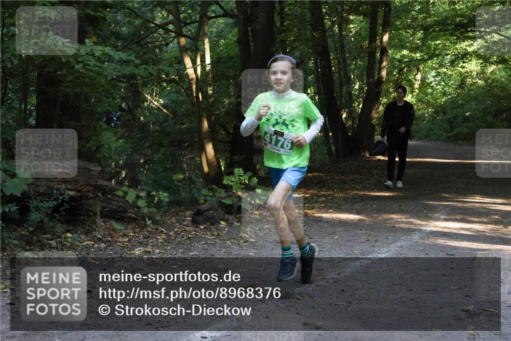 28.09.2025 - 33. Volkslauf durch das schöne Alstertal Strokosch-Dieckow http://msf.ph/oto/8968376 28.09.2025 10:56:57 Laufen 4176 meine-sportfotos.de