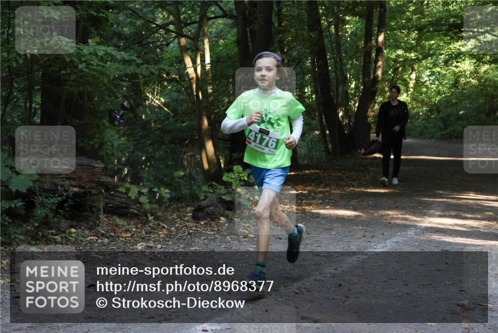 28.09.2025 - 33. Volkslauf durch das schöne Alstertal Strokosch-Dieckow http://msf.ph/oto/8968377 28.09.2025 10:56:57 Laufen 4176 meine-sportfotos.de