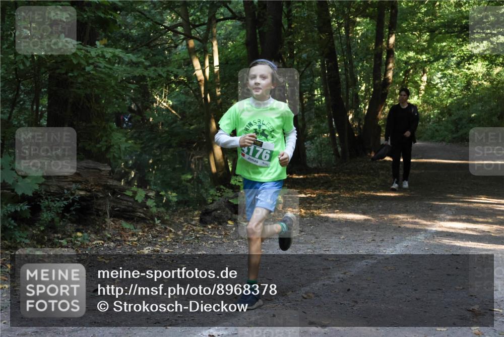 28.09.2025 - 33. Volkslauf durch das schöne Alstertal Strokosch-Dieckow http://msf.ph/oto/8968378 28.09.2025 10:56:57 Laufen 176 meine-sportfotos.de