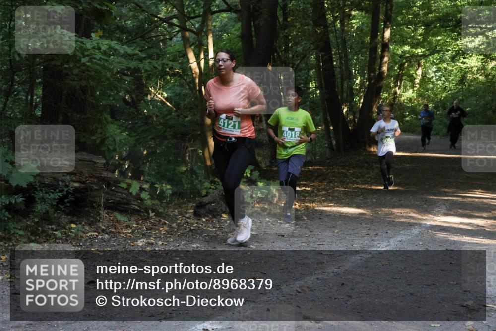 28.09.2025 - 33. Volkslauf durch das schöne Alstertal Strokosch-Dieckow http://msf.ph/oto/8968379 28.09.2025 10:57:16 Laufen 4121, 4018, 4095 meine-sportfotos.de