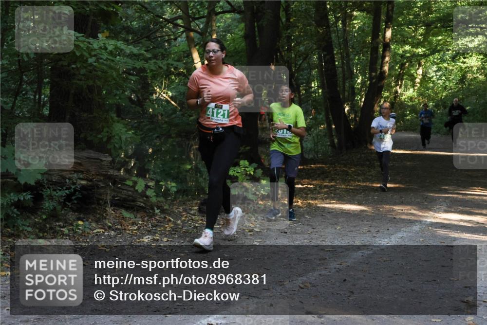 28.09.2025 - 33. Volkslauf durch das schöne Alstertal Strokosch-Dieckow http://msf.ph/oto/8968381 28.09.2025 10:57:16 Laufen 4121 meine-sportfotos.de