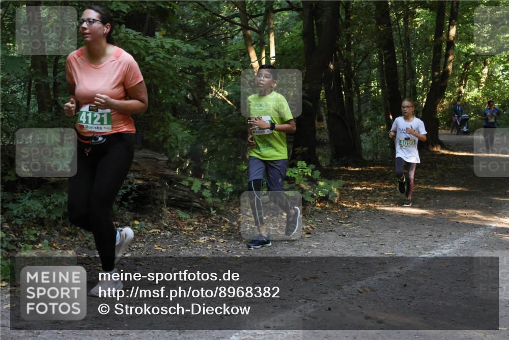 28.09.2025 - 33. Volkslauf durch das schöne Alstertal Strokosch-Dieckow http://msf.ph/oto/8968382 28.09.2025 10:57:17 Laufen 4121, 4095 meine-sportfotos.de