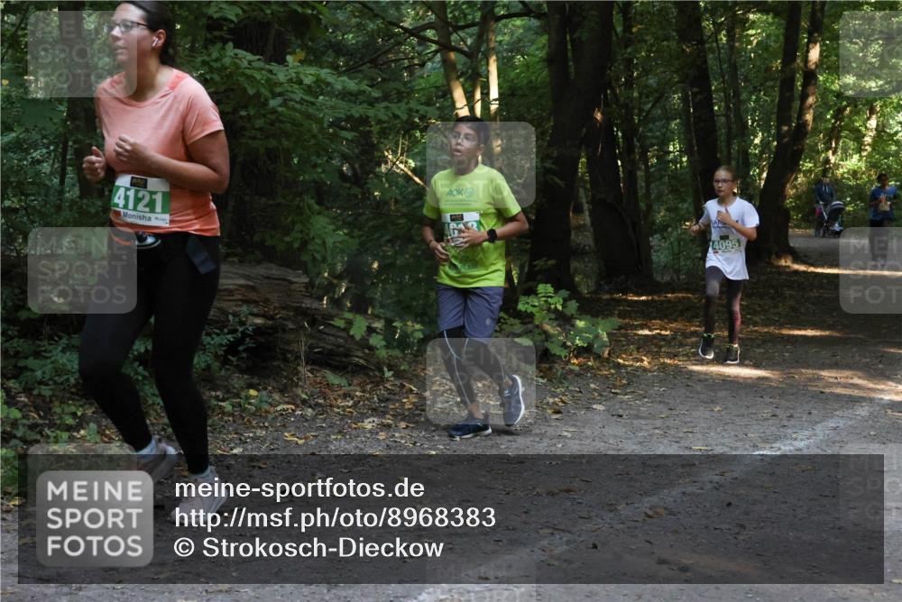 28.09.2025 - 33. Volkslauf durch das schöne Alstertal Strokosch-Dieckow http://msf.ph/oto/8968383 28.09.2025 10:57:17 Laufen 4121, 4095 meine-sportfotos.de