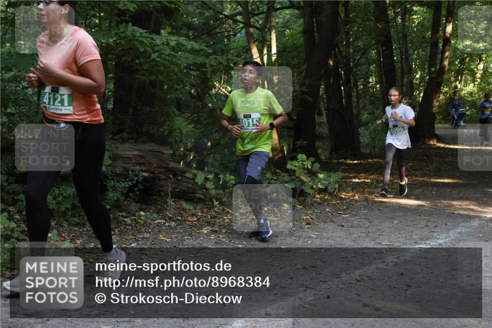 28.09.2025 - 33. Volkslauf durch das schöne Alstertal Strokosch-Dieckow http://msf.ph/oto/8968384 28.09.2025 10:57:17 Laufen 4121, 4018, 4095 meine-sportfotos.de