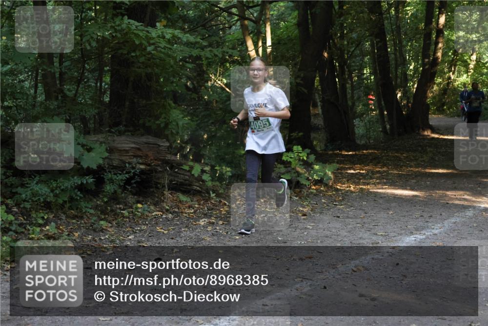28.09.2025 - 33. Volkslauf durch das schöne Alstertal Strokosch-Dieckow http://msf.ph/oto/8968385 28.09.2025 10:57:19 Laufen 4095 meine-sportfotos.de