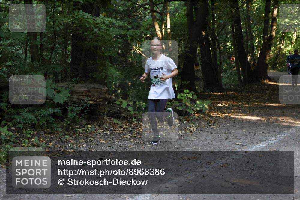 28.09.2025 - 33. Volkslauf durch das schöne Alstertal Strokosch-Dieckow http://msf.ph/oto/8968386 28.09.2025 10:57:19 Laufen 409 meine-sportfotos.de