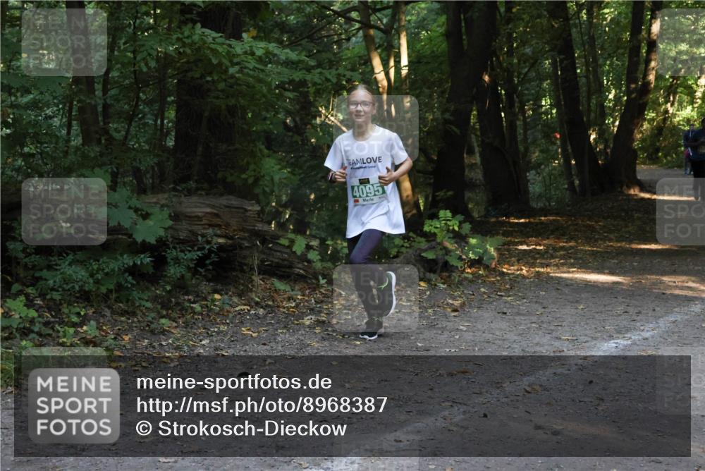28.09.2025 - 33. Volkslauf durch das schöne Alstertal Strokosch-Dieckow http://msf.ph/oto/8968387 28.09.2025 10:57:19 Laufen 4095 meine-sportfotos.de
