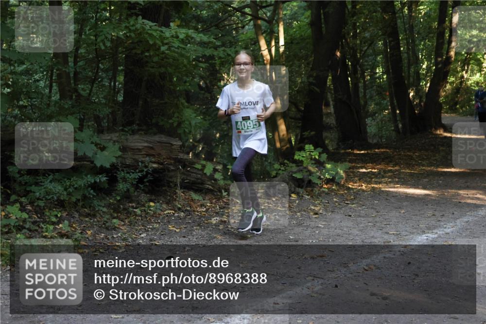 28.09.2025 - 33. Volkslauf durch das schöne Alstertal Strokosch-Dieckow http://msf.ph/oto/8968388 28.09.2025 10:57:19 Laufen 4095 meine-sportfotos.de