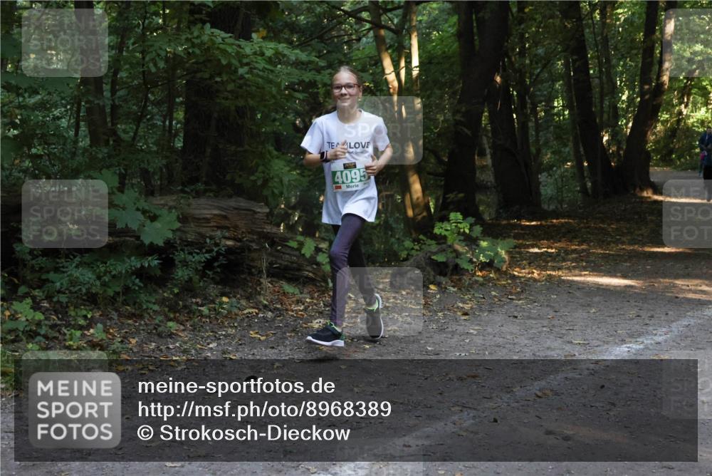 28.09.2025 - 33. Volkslauf durch das schöne Alstertal Strokosch-Dieckow http://msf.ph/oto/8968389 28.09.2025 10:57:19 Laufen 4095 meine-sportfotos.de