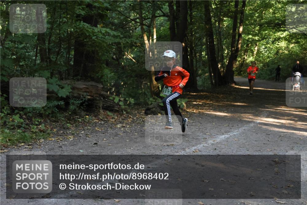 28.09.2025 - 33. Volkslauf durch das schöne Alstertal Strokosch-Dieckow http://msf.ph/oto/8968402 28.09.2025 10:57:33 Laufen  meine-sportfotos.de
