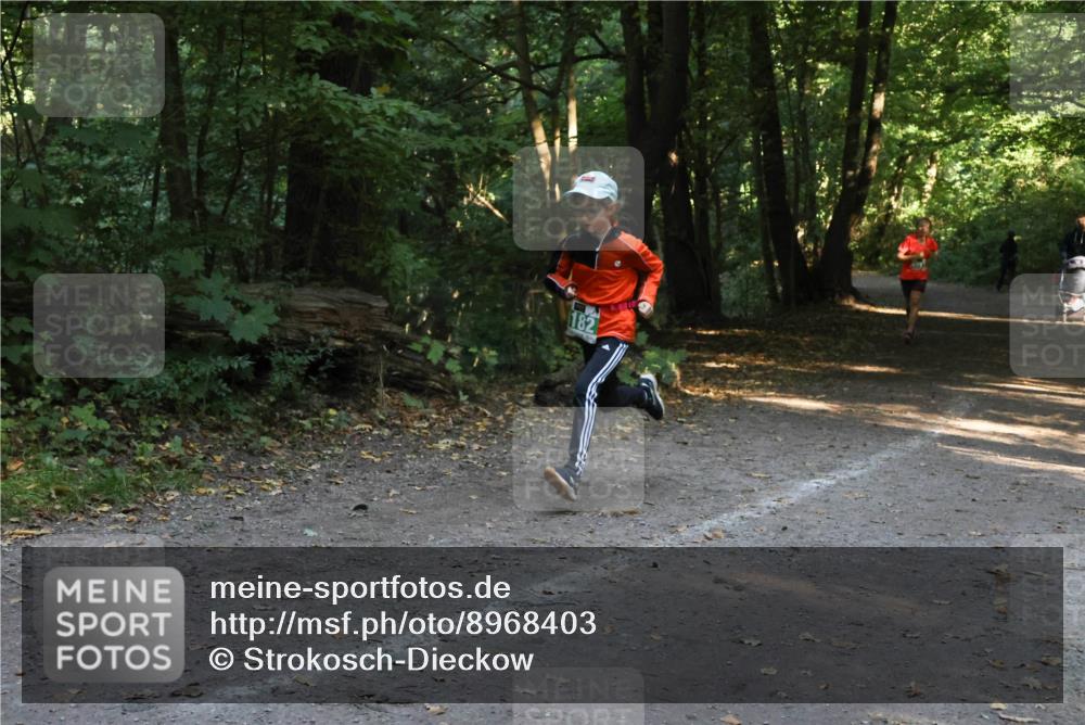 28.09.2025 - 33. Volkslauf durch das schöne Alstertal Strokosch-Dieckow http://msf.ph/oto/8968403 28.09.2025 10:57:33 Laufen 182 meine-sportfotos.de