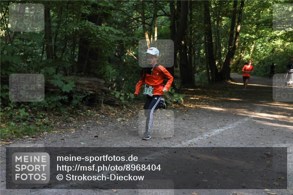 28.09.2025 - 33. Volkslauf durch das schöne Alstertal Strokosch-Dieckow http://msf.ph/oto/8968404 28.09.2025 10:57:33 Laufen 182 meine-sportfotos.de