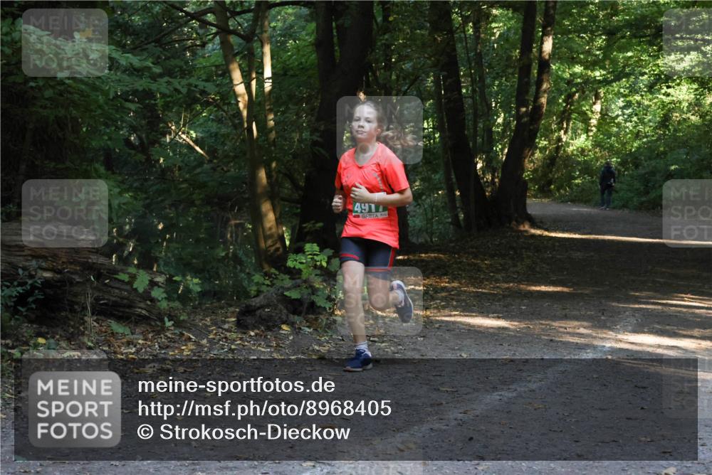 28.09.2025 - 33. Volkslauf durch das schöne Alstertal Strokosch-Dieckow http://msf.ph/oto/8968405 28.09.2025 10:57:37 Laufen 8100, 491 meine-sportfotos.de