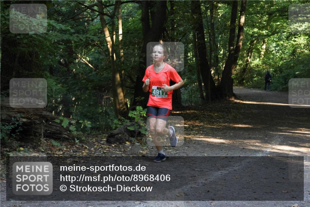28.09.2025 - 33. Volkslauf durch das schöne Alstertal Strokosch-Dieckow http://msf.ph/oto/8968406 28.09.2025 10:57:37 Laufen 4917 meine-sportfotos.de