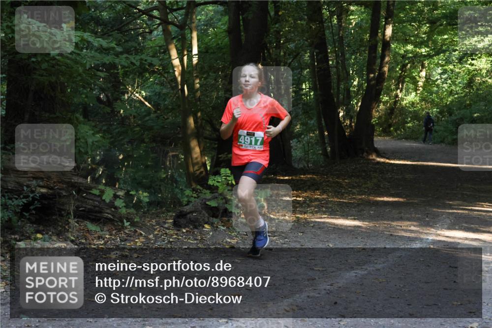 28.09.2025 - 33. Volkslauf durch das schöne Alstertal Strokosch-Dieckow http://msf.ph/oto/8968407 28.09.2025 10:57:37 Laufen 4917 meine-sportfotos.de