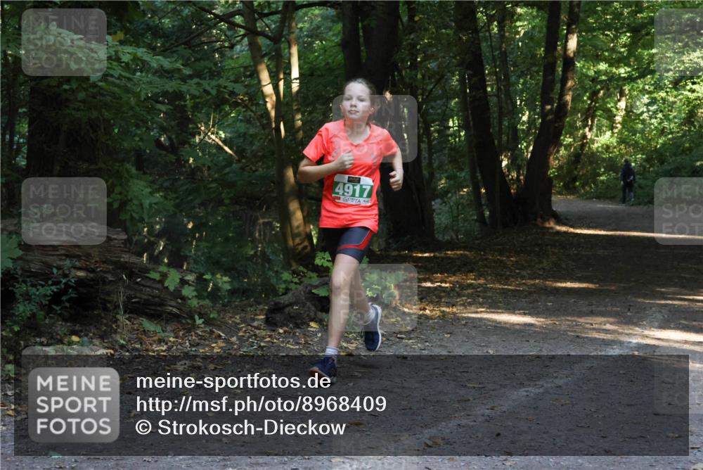 28.09.2025 - 33. Volkslauf durch das schöne Alstertal Strokosch-Dieckow http://msf.ph/oto/8968409 28.09.2025 10:57:37 Laufen 4917 meine-sportfotos.de