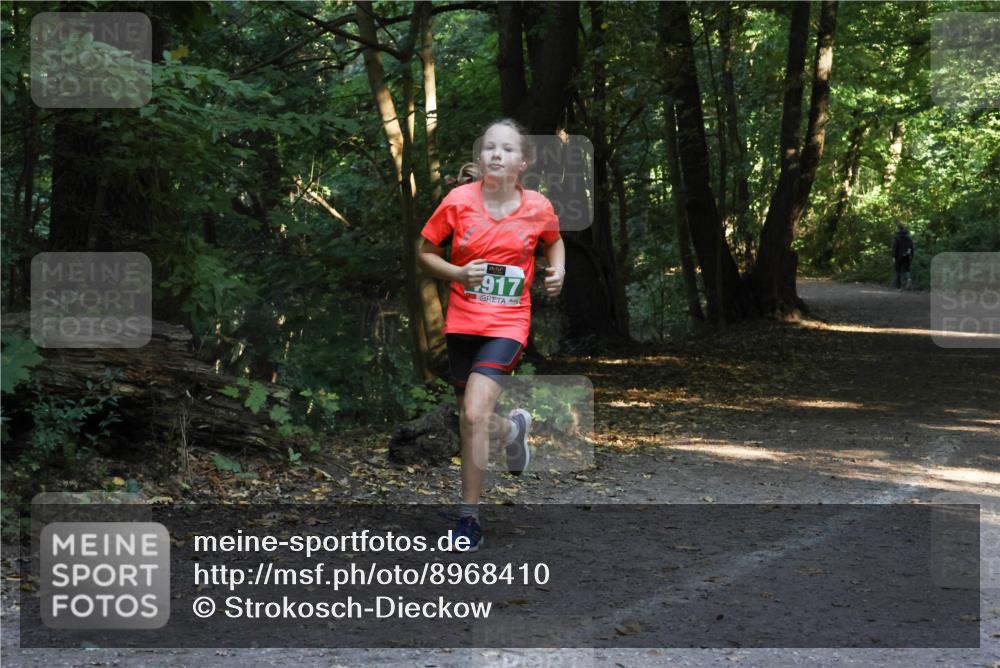 28.09.2025 - 33. Volkslauf durch das schöne Alstertal Strokosch-Dieckow http://msf.ph/oto/8968410 28.09.2025 10:57:37 Laufen 917 meine-sportfotos.de