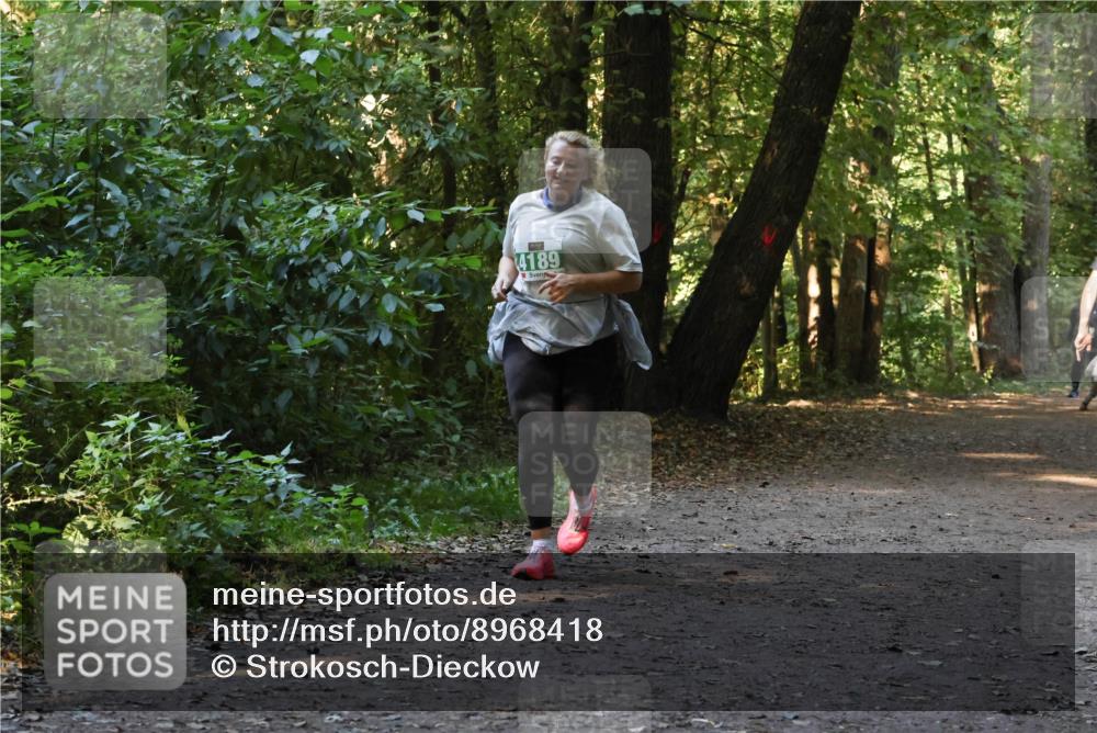 28.09.2025 - 33. Volkslauf durch das schöne Alstertal Strokosch-Dieckow http://msf.ph/oto/8968418 28.09.2025 10:59:37 Laufen 4189 meine-sportfotos.de