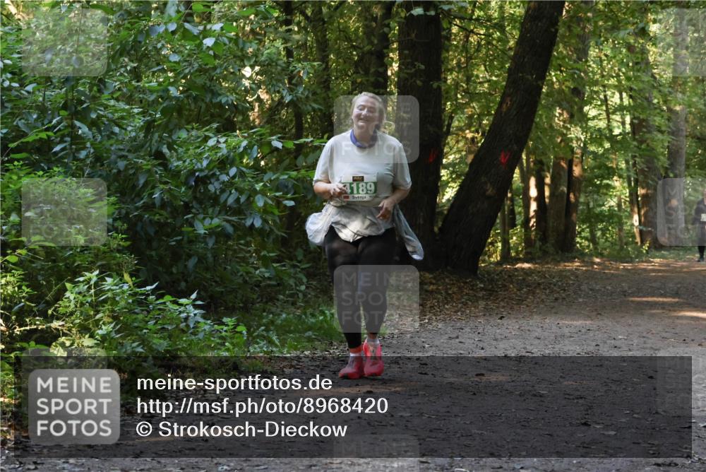 28.09.2025 - 33. Volkslauf durch das schöne Alstertal Strokosch-Dieckow http://msf.ph/oto/8968420 28.09.2025 10:59:37 Laufen 4189 meine-sportfotos.de